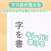共栄プラスチック 下敷 しっかりシタ字キ B5 方眼/無地リバーシブル ぶどう SHS-B5-02 1セット(1枚×2)