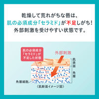 Curel（キュレル） リップケアクリーム ほんのり色づくタイプ 4.2g　花王　敏感肌