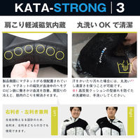 オーミヤ カタストロング3 SP-51 1枚