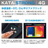 オーミヤ SP-58 カタストロング4GSP-58　1枚（直送品）