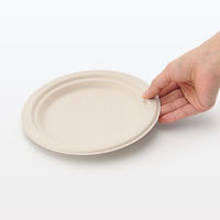 無印良品 バガスと竹パルプ プレート 小 10枚入り 1セット（1袋（10枚入）×10） 良品計画