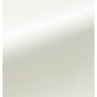 七分袖ブラウス 15号 ホワイト GBLL-2365-A9 1着 サーヴォ（直送品）