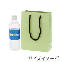 ＨＥＩＫＯ 手提げ紙袋　ブライトバッグ Ｔー３ ピスタチオ（マットタイプ） 006143148 1セット(10枚入×5袋 合計50枚)（直送品）