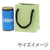 ＨＥＩＫＯ 手提げ紙袋　ブライトバッグ Ｔー５ ピスタチオ（マットタイプ） 006143348 1セット(10枚入×5袋 合計50枚)（直送品）