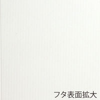ＨＥＩＫＯ 洋品箱　ソフィアボックス ＳＯー０１３ 無地 006857262 1セット(10枚入×10袋 合計100枚)（直送品）