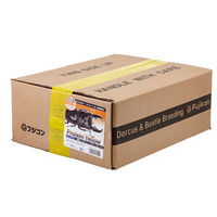 フジコン プレミアム 濃縮 プロテイン イエローゼリーS バルク ワイド 16g×500 272870 1個（直送品）