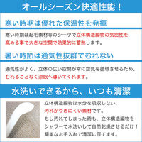 ホームテイスト ファインエアー(R) マットレス シングル 縦1000×横2000ｍm ブラック SH-FAO-450S 1枚（直送品）