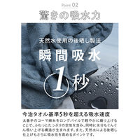 ヒオリエ 日本製 ビッグフェイスタオル ホテルスタイルタオル モス 約40×100cm タオル 厚手 吸水 無地 1枚