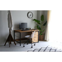 【軒先渡し】関家具 クラッシュプロジェクト yuu エッグ デスクチェア 肘無 ホワイト 316953 1脚（直送品）