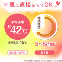 かけぽか 1パック（10個入）カイロ レック