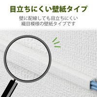 エレコム フラットモール/壁紙織目/幅21.8mm/1.0m LD-GAFW2/CL 1個