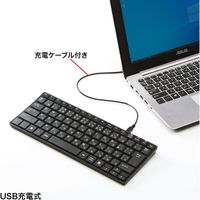 サンワサプライ Bluetoothスリムキーボード SKB-BT23BKN 1個