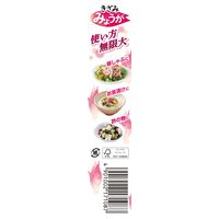 エスビー食品 S&B きざみみょうが 38g x10 17108 1セット(10個)（直送品）