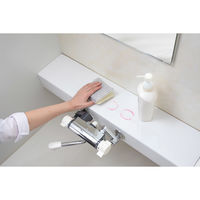 サンコー びっくり バスピカピカ グレー BI-12 1個 水だけで洗える びっくりフレッシュ 日本製 抗菌（直送品）