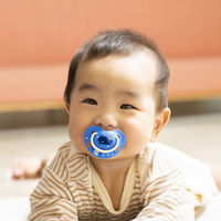 ピジョン おしゃぶり Fun Friendly（ファンフレンドリー） 6～18ヵ月頃 L くじら柄 1個