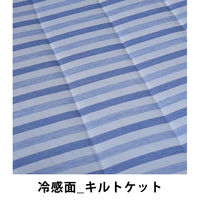 【アウトレット】西川 涼感寝具3点セット GZ02101500 1セット