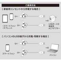 エアージェイ Lightning変換アダプター付きマイクロUSBケーブル 2m レッド UKJ-PLMC200 RD 1本