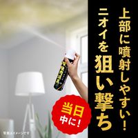 【EC専売】お部屋のスッキーリエア 焼肉消臭 1個 アース製薬
