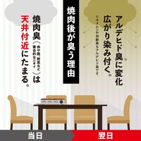 【EC専売】お部屋のスッキーリエア 焼肉消臭 1セット（3個） アース製薬