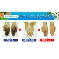 LPLP（ルプルプ） ヘアカラートリートメント モカブラウン 200g 1個 スタージュ