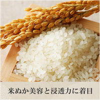 和の実 ヘアレシピ さらつや シャンプー 詰め替え 300mL P&G