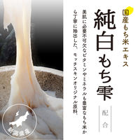 【アウトレット】モッチスキン 吸着もちパック 170g 2個 ジェイウォーカー