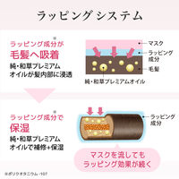 いち髪 プレミアム ラッピングマスク 200g クラシエ