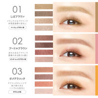 キレイファクトリー わんだふるアイカラー02 プードルブラウン 青和通商