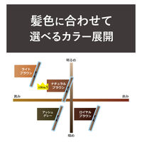 ブロウラッシュEX Wアイブロウ（ジェルペンシル＆パウダー）アッシュグレー スタイリングライフ・ホールディングスBCL カンパニー