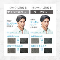 メンズビゲン グレーヘア ナチュラルグレー 40g+40g 1個 hoyu（ホーユー）