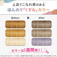 ルシードエル インナーカラートリートメント #クールアッシュ 80g マンダム