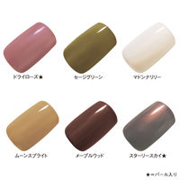 ORBIS（オルビス） ネイルポリッシュ ドライローズ