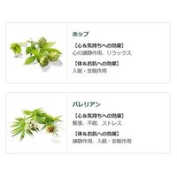 入浴剤 クナイプ バスソルト グーテナハト ホップ＆バレリアンの香り ボトル 850g 1個 クナイプジャパン