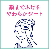 ビオレZ するり肌感シート 無香性 20枚入 ボディシート 花王