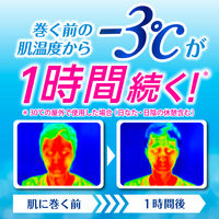 ビオレ 冷バンド 無香性 個包装 3枚入 冷却シート 花王