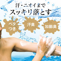 LUCIDO（ルシード）薬用 デオドラント ボディウォッシュ 詰替用 メンズ 加齢臭対策 ボディソープ 380ml（医薬部外品）