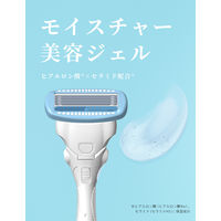 ハイドロシルク サロンプラス ホルダー（刃付き）女性用 カミソリ 剃刀 スキンガード Schick シック