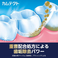 カムテクト ハミガキ プレミアム ホワイトニング 95g Haleonジャパン 歯磨き粉