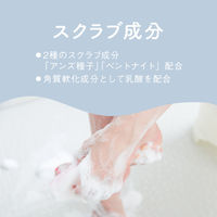 ドクターショール スクラブソープ 足裏 かかと 角質ケア用 固形せっけん 1個 ショールズウェルネスカンパニー