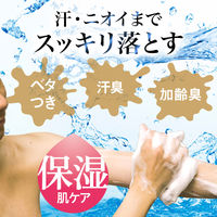 LUCIDO（ルシード）ボディウォッシュ 薬用 デオドラント うるおいタイプ 詰め替え 加齢臭対策 380ml マンダム