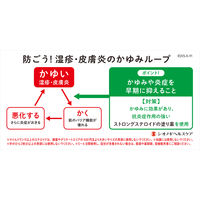 リンデロン Vs ローション 10g シオノギヘルスケア　ステロイド 塗り薬 湿疹 皮膚炎【指定第2類医薬品】