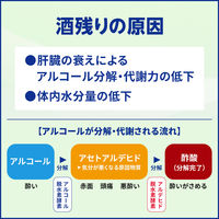 アルピタンγ 16錠 小林製薬 二日酔い【第2類医薬品】