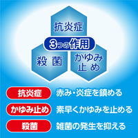 ミーミエイド 5g 小林製薬 耳の裏 耳たぶ かぶれ 荒れ【第2類医薬品】