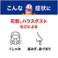 新コンタック鼻炎Z 16錠　Haleonジャパン  1日1回で効く鼻炎薬【第2類医薬品】