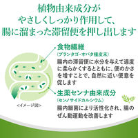 スルーラックファイバー 10包 エスエス製薬 便秘薬 便秘 肌あれ SSPLSC【指定第2類医薬品】