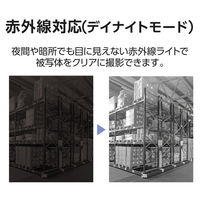 防犯カメラ 監視カメラ ドーム型 天井型 ワイヤレス・有線対応 マイク内蔵 200万画素 逆光対応 ナイトビュー DXアンテナ 1個（直送品）