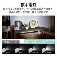 ベッドサイドランプ 枕元 ライト 間接照明 懐中電灯 3段階光量調節 電池式 ピンク DE-KD04PN エレコム 1個