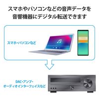 タイプCケーブル (C to C) 1m 高耐久 ハイレゾ対応 ネイビー DH-TCC10 エレコム 1個（直送品）