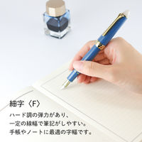 セーラー万年筆 四季織 月夜の水面 霜夜 万年筆 F(細字) 100658204 1本