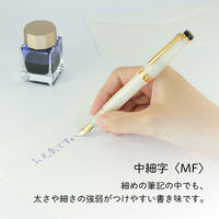 セーラー万年筆 四季織 雪月空葉 名月 万年筆 MF(中細字) 101624303 1本